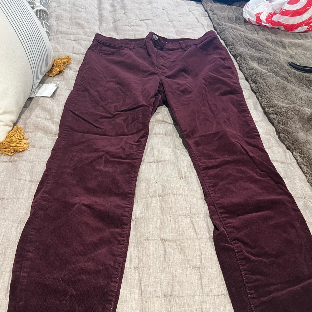 Size 12 loft velvetlike pants